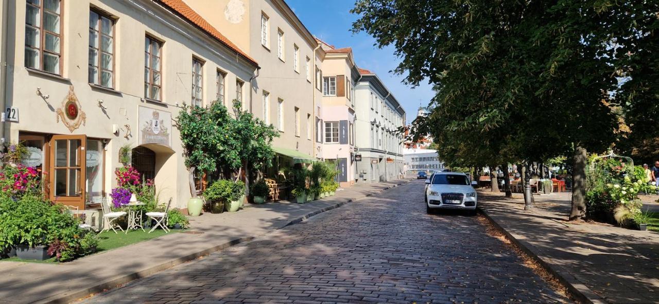 Tyzen39&38 Luxury Apartment Vilnius Ngoại thất bức ảnh
